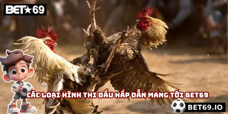 Các loại hình thi đấu hấp dẫn mang tới Bet69