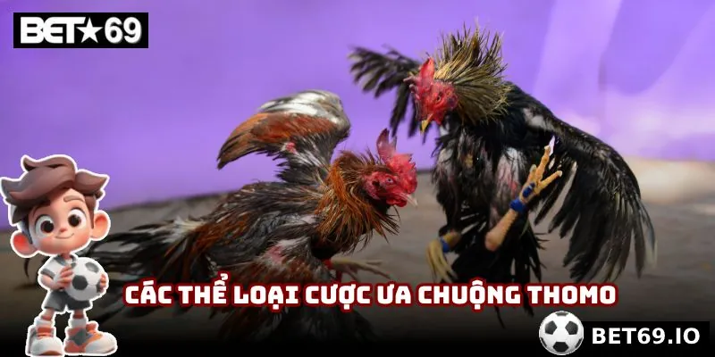 Các thể loại cược được ưa chuộng trong Thomo