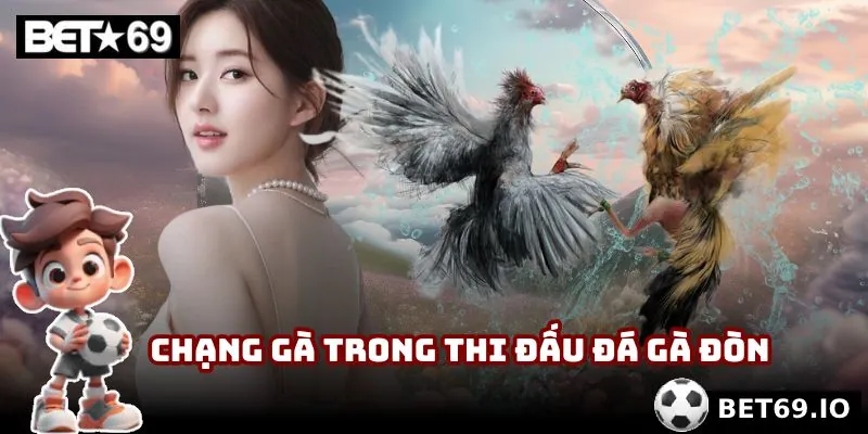 Chạng gà trong thi đấu đá gà đòn