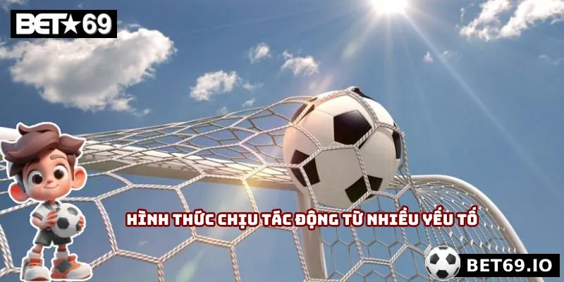 Hình thức chịu tác động từ nhiều yếu tố