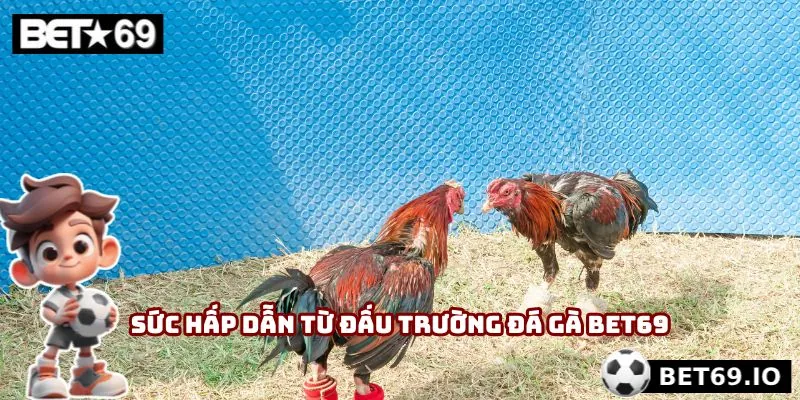 Sức hấp dẫn từ đấu trường đá gà Bet69