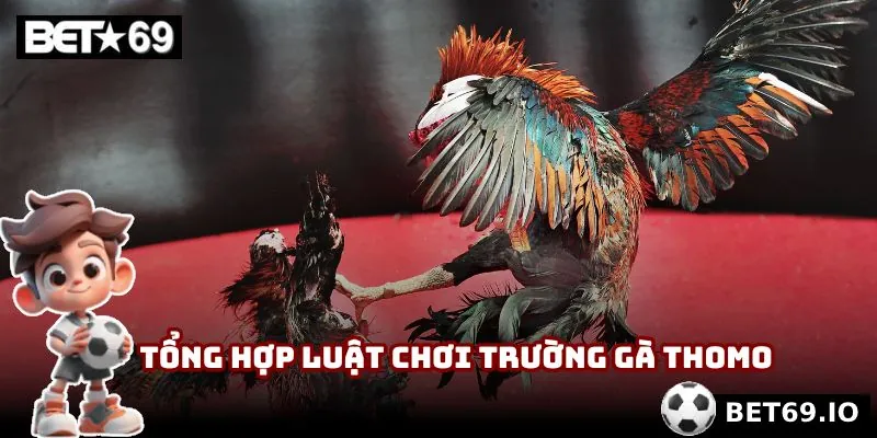 Tổng hợp luật chơi chung của trường gà Thomo